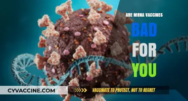 Are mRNA Vaccines Safe? Debunking Myths and Understanding the Facts