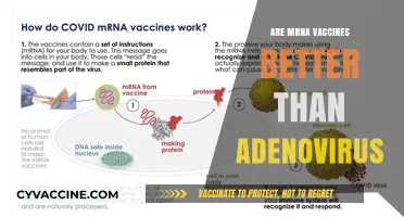 mRNA vs Adenovirus Vaccines: Which Technology Offers Superior Protection?
