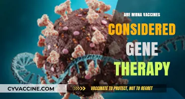 Are mRNA Vaccines Gene Therapy? Unraveling the Scientific Debate