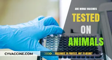 Are mRNA Vaccines Tested on Animals? Ethical and Scientific Insights