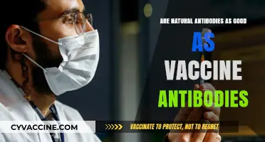 Natural vs Vaccine Antibodies: Which Offers Better Protection?