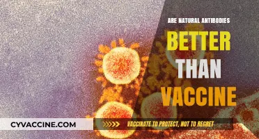Natural Antibodies vs. Vaccines: Which Offers Superior Immune Protection?