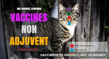 Nobivac Leukemia Vaccines: Are Non-Adjuvant Formulas Safe and Effective?