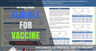 Organ Donors and Vaccines: Eligibility, Safety, and Important Considerations
