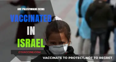 Israel's COVID-19 Vaccination Efforts: Are Palestinians Included in the Rollout?