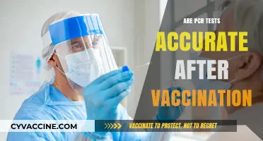 PCR Test Accuracy Post-Vaccination: What You Need to Know