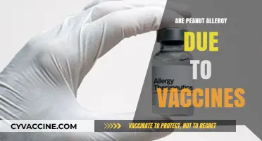 Are Peanut Allergies Linked to Vaccines? Separating Fact from Fiction
