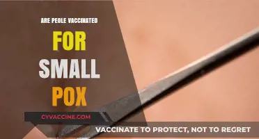 Are People Still Vaccinated for Smallpox? Understanding Current Practices