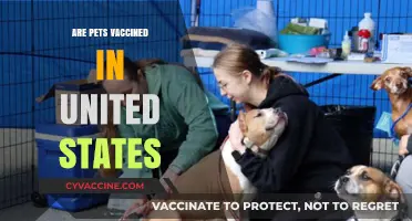 Pet Vaccination in the U.S.: What Every Owner Should Know