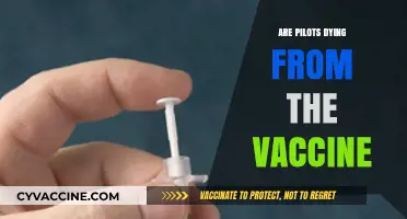 Are Pilots at Risk? Vaccine Safety Concerns Explored