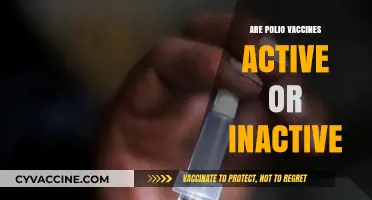 Active vs. Inactive: Understanding the Polio Vaccine's Composition and Safety