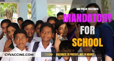 Polio Vaccines and School Requirements: What Parents Need to Know
