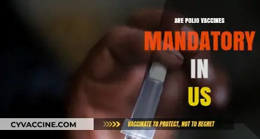 Are Polio Vaccines Mandatory in the US? What You Need to Know