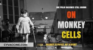 Polio Vaccines: Monkey Cells, Past and Present