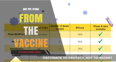 Vaccine Safety: Separating Myths from Facts About Deaths and Risks