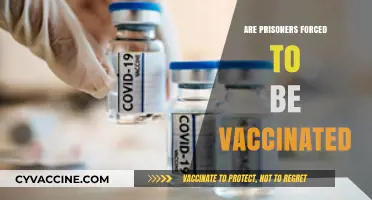 Are Prisoners Coerced into COVID-19 Vaccination? Ethical Concerns Explored