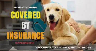 Puppy Vaccinations and Pet Insurance: What's Covered and What's Not?