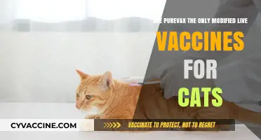 Purevax: The Best Modified Live Vaccines for Cats?
