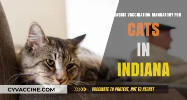 Rabies Vaccination for Cats in Indiana: What's the Law?