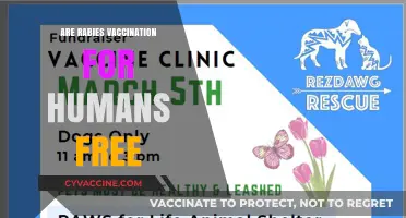 Are Rabies Vaccines Free for Humans? What You Need to Know