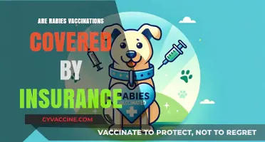 Rabies Vaccination Coverage: What Your Insurance Policy May Include