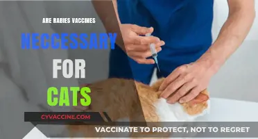 Are Rabies Vaccines Essential for Cats? Exploring the Necessity