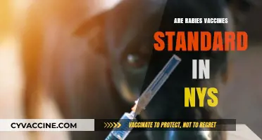 Are Rabies Vaccines Mandatory for Pets in New York State?