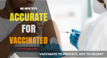 Vaccinated and Tested: Assessing the Accuracy of Rapid COVID-19 Tests