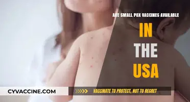 Smallpox Vaccines: Availability and Access in the USA
