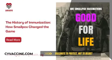 Do Smallpox Vaccinations Provide Lifelong Immunity? What Science Says