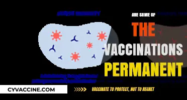 Do Vaccinations Last Forever? Exploring Permanent Immunity Myths and Facts