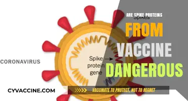 Are Vaccine Spike Proteins Safe? Debunking Myths and Concerns