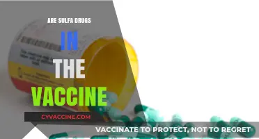 Are Sulfa Drugs in Vaccines? Unraveling the Truth and Safety