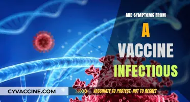 Are Vaccine Symptoms Contagious? Debunking Myths About Vaccine Side Effects