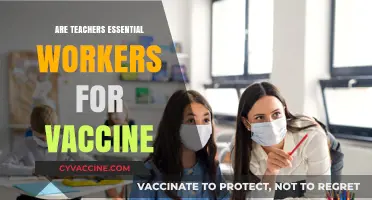 Are Teachers Essential Workers? The Vaccine Priority Debate Explored
