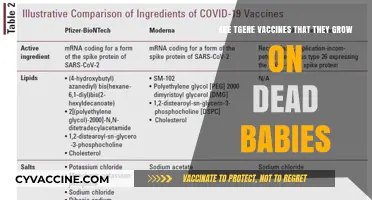 Vaccines Grown on Aborted Cells: Ethical or Not?