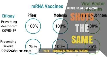 Vaccine Shots: Are First and Second Doses Identical?