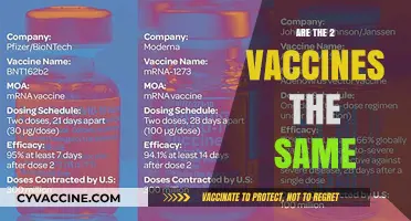 Are All COVID-19 Vaccines Identical? Exploring Differences and Similarities