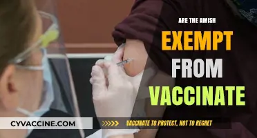 Amish Vaccination Exemptions: Religious Freedom or Public Health Risk?
