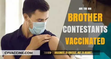 Big Brother Vaccination Status: Are Contestants Protected This Season?