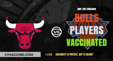 Chicago Bulls Players' COVID-19 Vaccination Status: What We Know