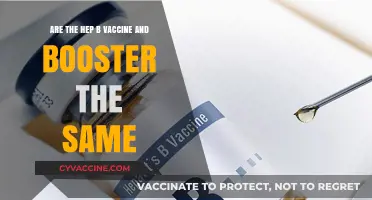 Hep B Vaccine and Booster: Are They Different?