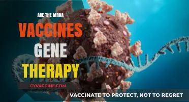 Are mRNA Vaccines Gene Therapy? Unraveling the Science and Myths