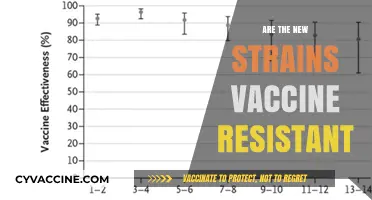 New COVID-19 Strains: Are Vaccines Still Effective Against Them?