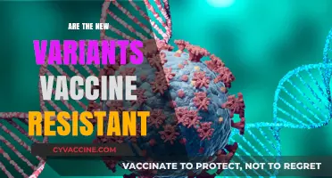 New COVID-19 Variants: Are Vaccines Still Effective Against Them?