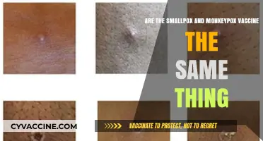 Smallpox and Monkeypox: Are the Vaccines Similar?