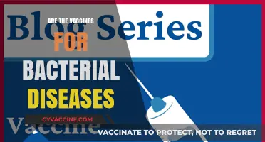 Vaccines for Bacterial Diseases: Effectiveness, Types, and Importance Explained