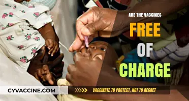 Are Vaccines Free? Understanding Costs and Accessibility Worldwide