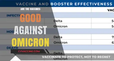 Vaccines vs. Omicron: Effectiveness, Protection, and What You Need to Know