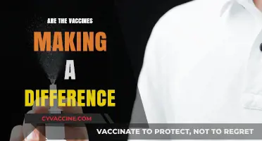 Vaccines Impact: Are They Effectively Curbing the Pandemic's Spread?